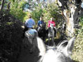 Ofertas Costa Azahar - Actividades de ocio - Excursiones a caballo